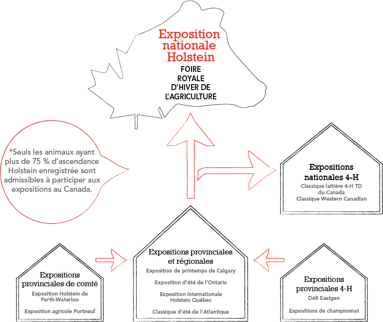 Shows Diagram