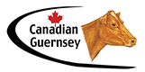 Canadian Guernsey Association Logo