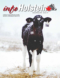 Info Holstein Jan./Feb. 2016 