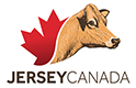 Jersey Canada Logo