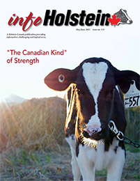 Info Holstein May/Jun  2015 .PDF