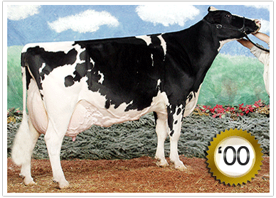 2000 339 Head Grand Champion Female