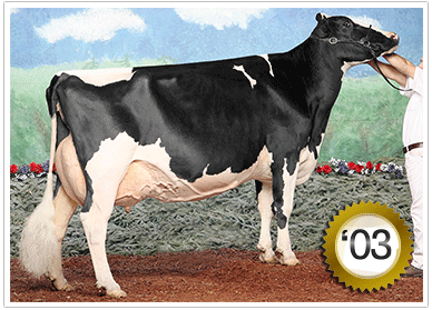 2003 281 Head Grand Champion Female