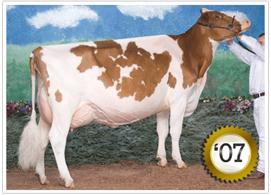 2007 - 97 Head - Grand Champion Female