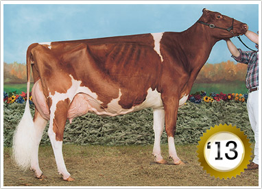 2013 - 80 Head - Grand Champion Female