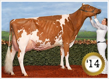 2014 Grand Champion Female