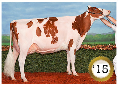 2015 Grand Champion Female