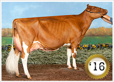 2015 Grand Champion Female