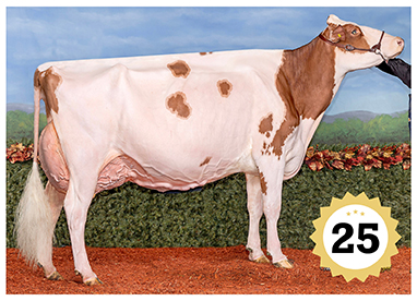 2025 Grand Champion Female