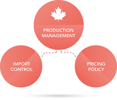 3 Pillars of Supply Management