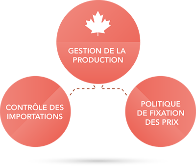 3 Pillars of Supply Management