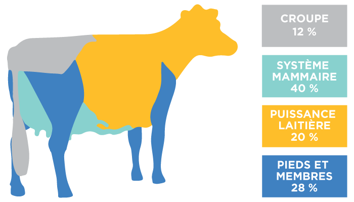 La formule de la race Holstein est la suivante