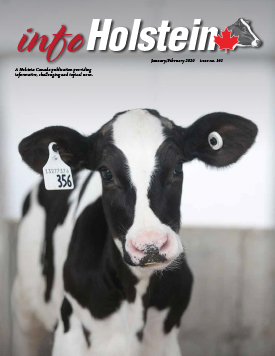 Info Holstein Jan Feb 2019