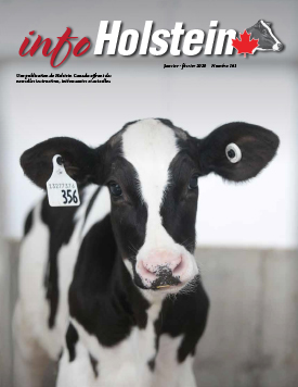 Info Holstein Jan Feb 2019