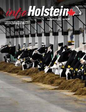 Info Holstein Jan Feb 2021