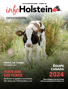 Info Holstein