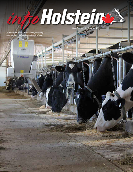 Info Holstein May/June 2016 