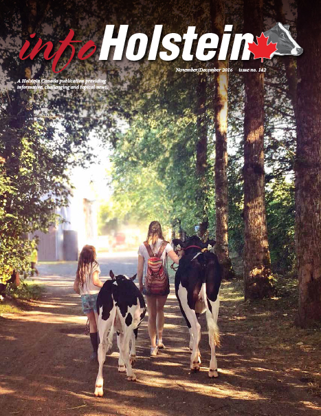 Info Holstein Nov/Dec 2016 