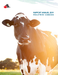 Rapport Annuel 2019