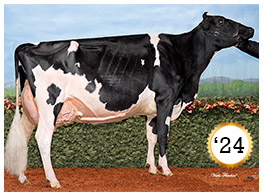 2024- Rotaly Goldwyn Allegria EX-96 5E 5* alt=
