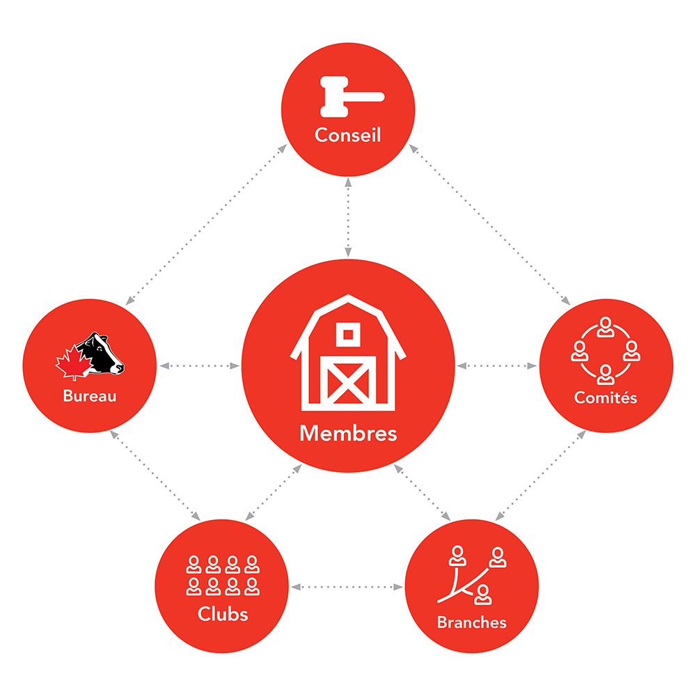 Governance Structure