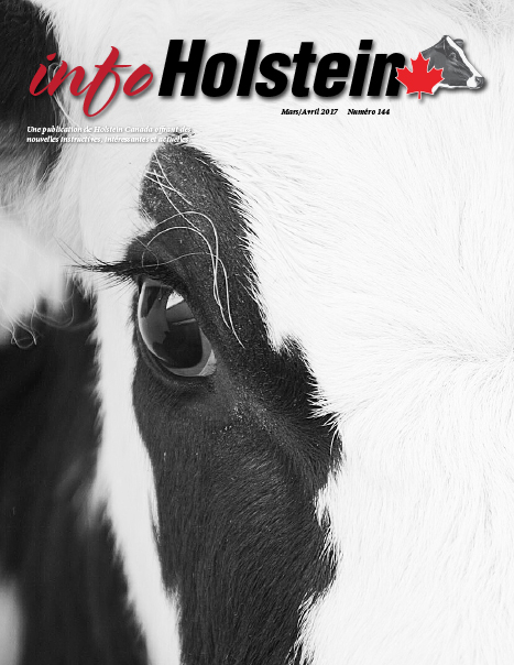 Info Holstein 2017 