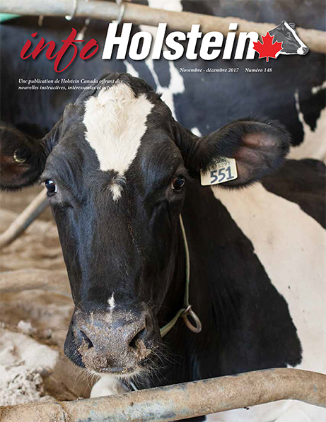 Info_Holstein_Nov_Dec_2017 