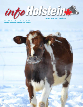 Info Holstein Jan Feb 2019