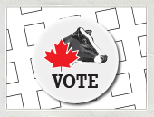 National Director Election Underway