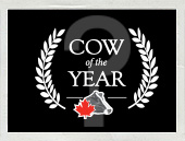 Strong Finalists Vie for 2013 Cow of the Year