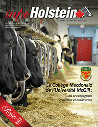 Info Holstein Oct/Nov  2012 Cover