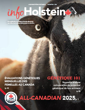 Info Holstein